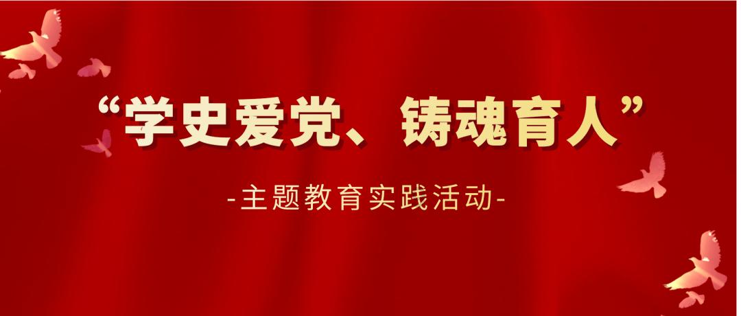 熊猫的主食竹子是在植物分类中属于什么植物？